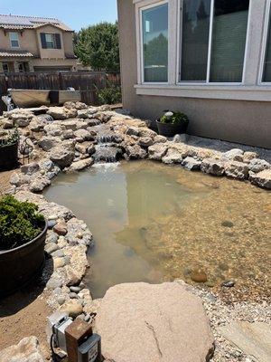 My pond