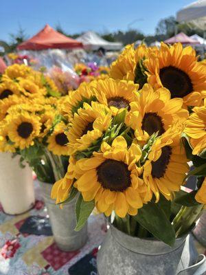 Cambria Farmers Market