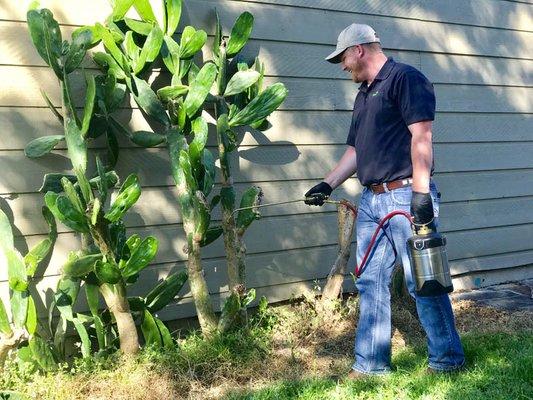 Treating the base of the home, creating a perimeter of protection from insects