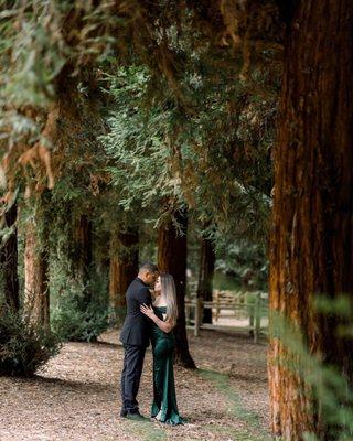 Engagement shoot