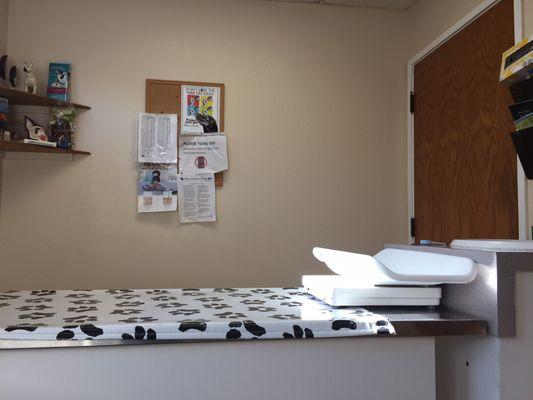 Cute exam table with paw motif. Very nice vets