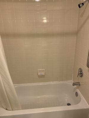 Shower is dated, could be remodeled/redone soon; but for a one night stay, it's fair.