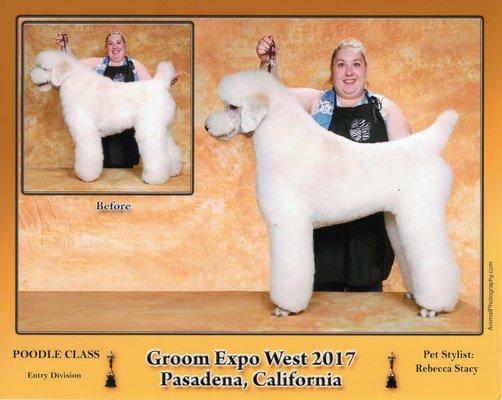 Our groomers compete! Congratulations Rebecca! We are so proud of you!