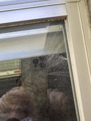 This is one window after a just tried hosing it off. Ended up re- washing all 14