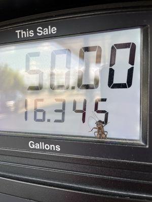 Gas prices always competitive!