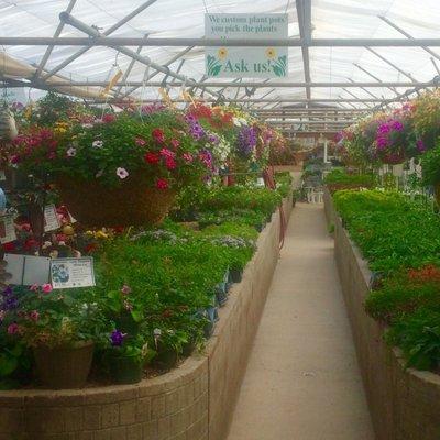 Plantorium Greenhouse & Nursery