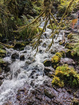 Wahkeena Falls trail at the Columbia River Gorge National Scenic Area in Corbett, Oregon. Multnomah County. Breathtaking and beautiful.