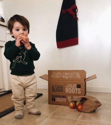 Look at this cute kid with our Traditional CSA box! Yummy!