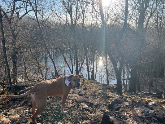 Dante loved the lake!