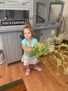 Our garden feeds our children and our school pet, Snickerdoodle.