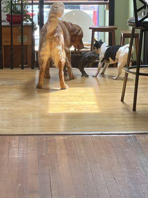 Willow, Declan, and a regular at the bar.