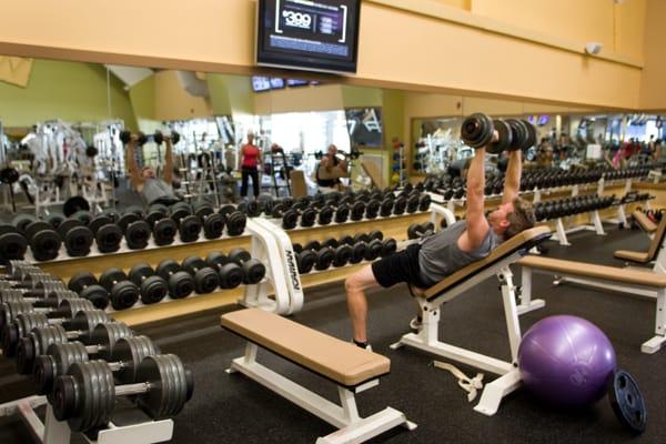 Fitness floor offers cardio, free weights, and functional equipment as well as a range of fitness programming for all levels.