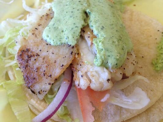 fish tacos