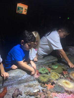 Aquarium of the. Pacific field trip!