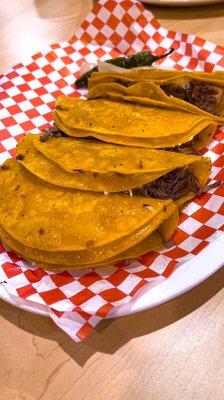 Dorado cheesy birria tacos