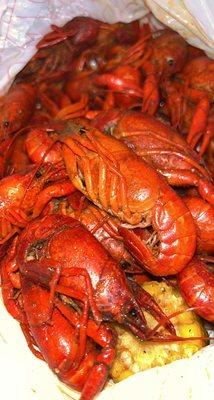 Crawfish