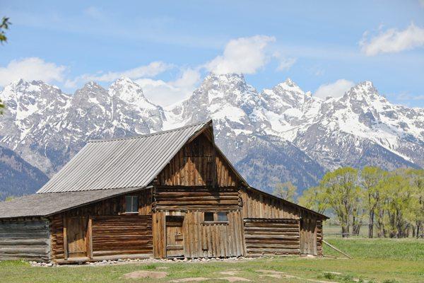 Mormon's Row in Grand Teton National Park