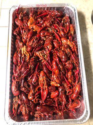 10lbs. Crawfish, spicy, garlic butter.