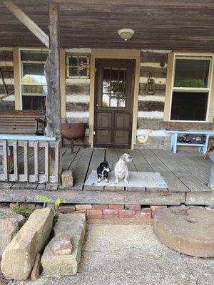 Church Cabin at Ole Squat Inn. Pet Friendly