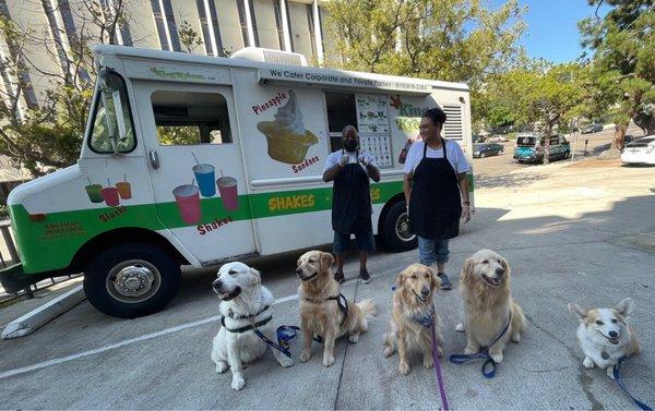 Therapy dogs love King Kream Ice Cream too!