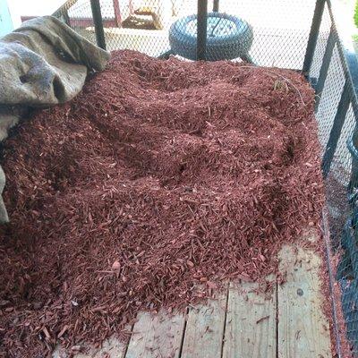 Need mulch?