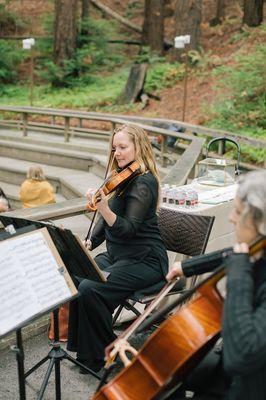 Bay Area Strings String Trio - photo credit nvysotskaya.com