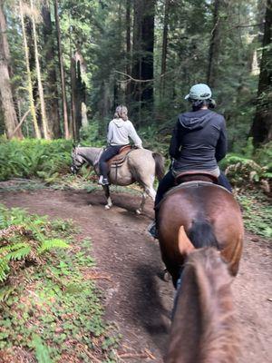 Redwood Creek Buckarettes