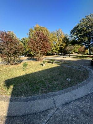 Tree limbs cut, bushes rounded off and lawn mowed and edged.