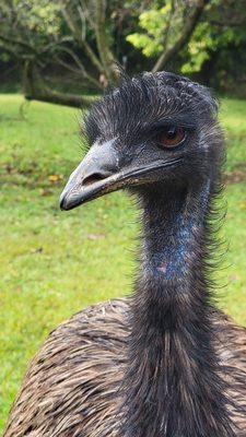 Sugarcreek Bird Farm