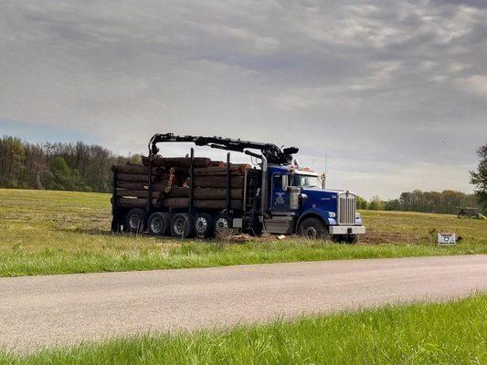 Load of Black Walnut logs we cut by Valley View Forestry and Logging co.