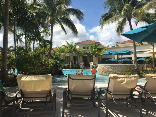 Pool by the palm trees