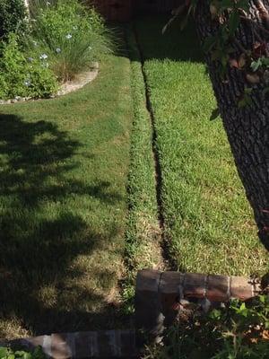 Would you want your yard to look like this? Sullivan's can do this sloppy job for you!