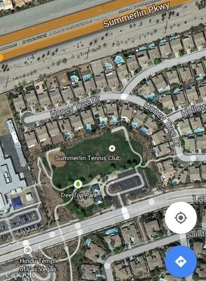 A Google Maps view of Tree Top Park