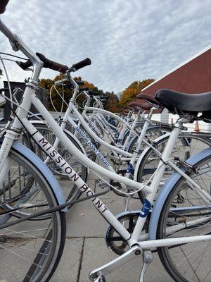 Bikes for rent. $44 for half a day!