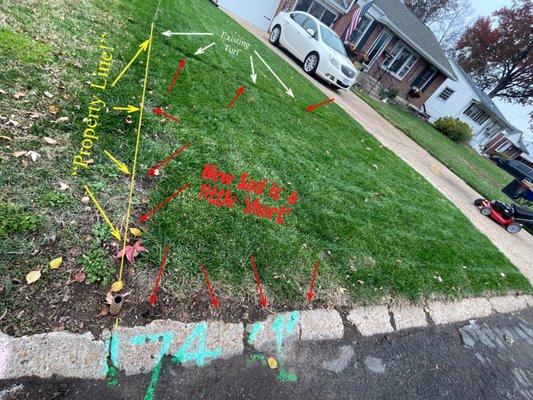 They did even lay sod all the way to concrete curb.