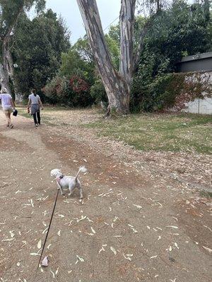 Van Nuys Sherman Oaks Park Memorial Day Festival