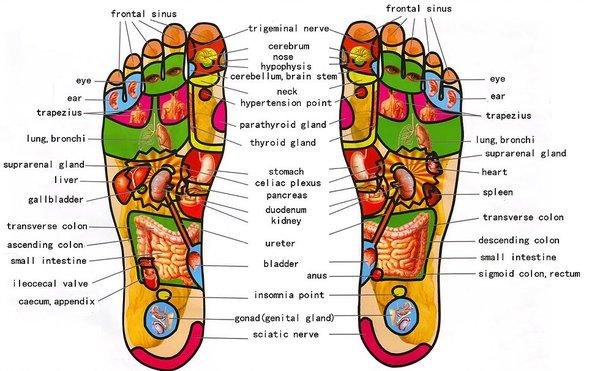 Reflexology