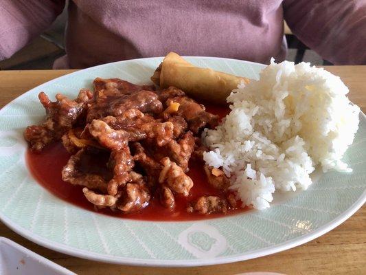 Orange Flavored Beef Dinner