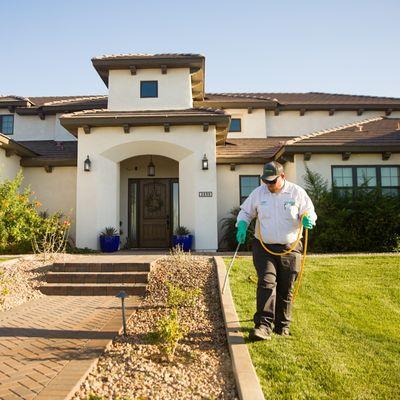 Technician Danny treating pest harborage areas in the yard.