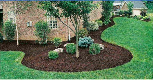 Tolentino’s Landscaping