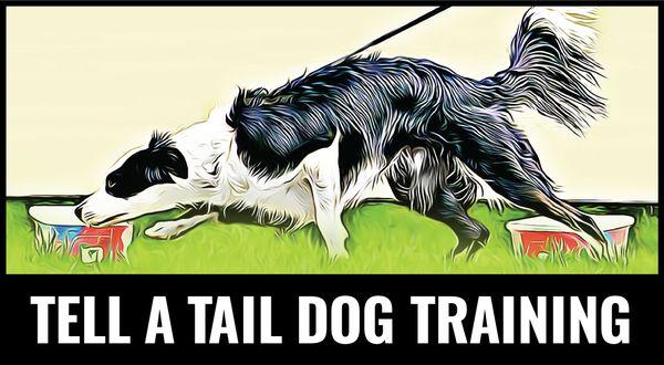 Tell A Tail Dog Training