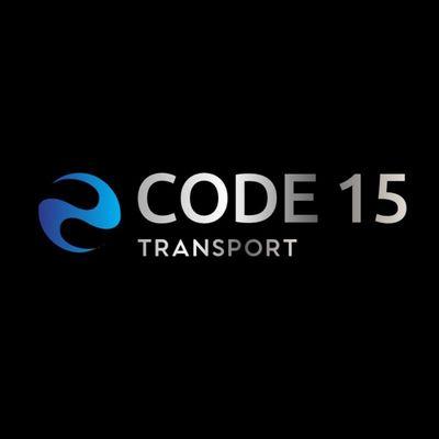 Code 15 Business Logo