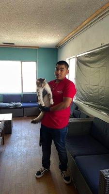 The MOM El Centro team volunteers with Too Cute Kitten Rescue.