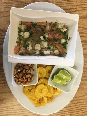 Ceviche de Pescado !! $11.99.                       Fish Ceviche .