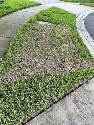 Spray pattern in the lawn. You can see exactly where they stopped spraying.