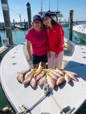 Nice haul of yellowtail snapper Jan. 7th!