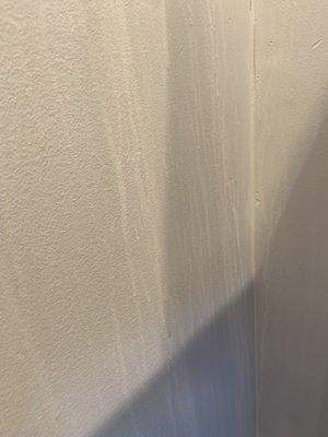 Stains on the bathroom walls.