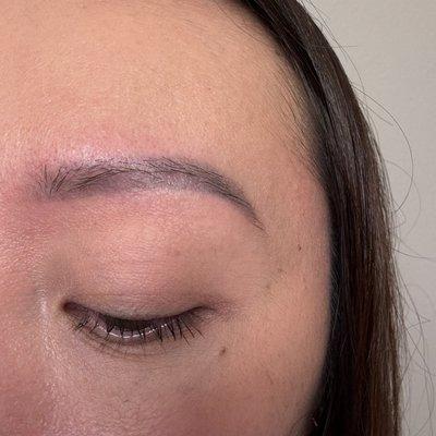 Before feathered nano brows done by Jessica