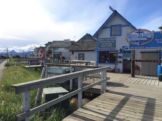 Homer, Alaska - Rainbow Charters Halibut Charters available. Highly recommend this charter outfit they delivered on every level!