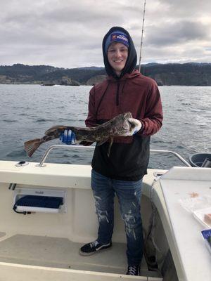 Lingcod